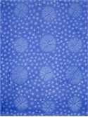 VLISCO  VL034923.06